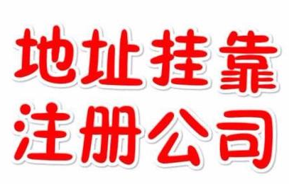 代理記賬一年800元，記賬會(huì)計(jì)代理